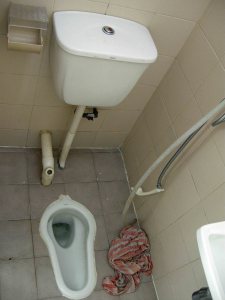 20081226b-toilet2